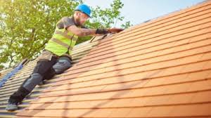 Best Roof Maintenance and Cleaning  in Salyersville, KY